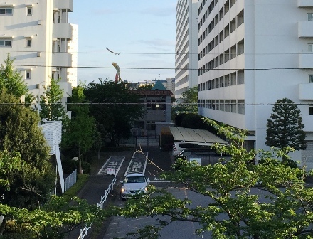 荒川と旧江戸川…送電線と川に沿って往復する（３）旧江戸川と総合レクリエーション公園_b0330040_11313335.jpg