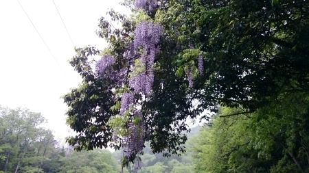 e0145441_14213390.jpg