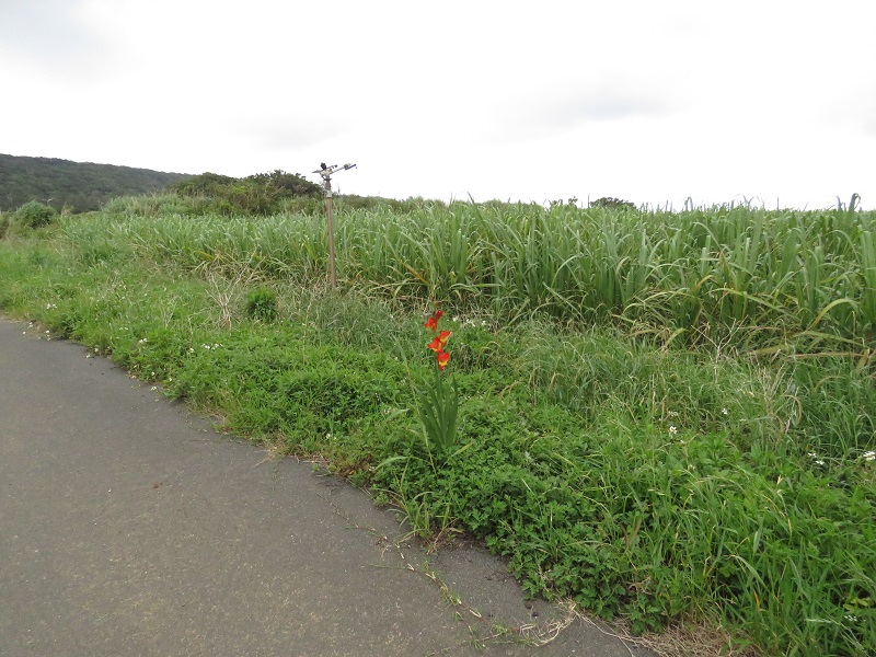 b0288942_2315110.jpg