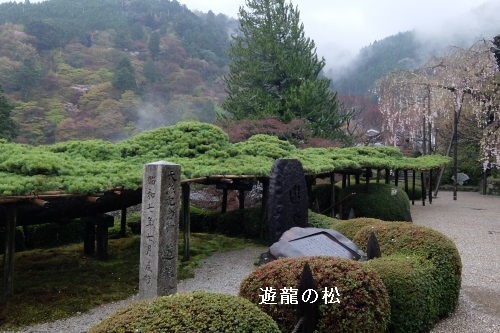 京都　善峯寺から大原野を歩く_a0098746_1948112.jpg