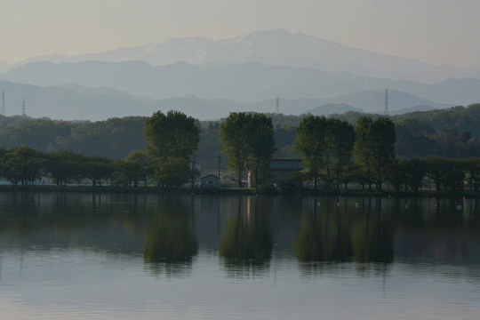 c0093046_765685.gif
