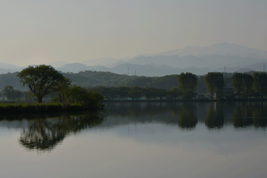 c0093046_77125.gif