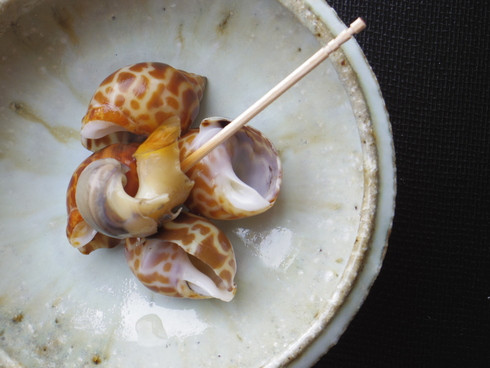 今年も美味しいバイ貝うま煮 カシタニだより In香港 今年も美味しいバイ貝うま煮 カシタニだより In香港