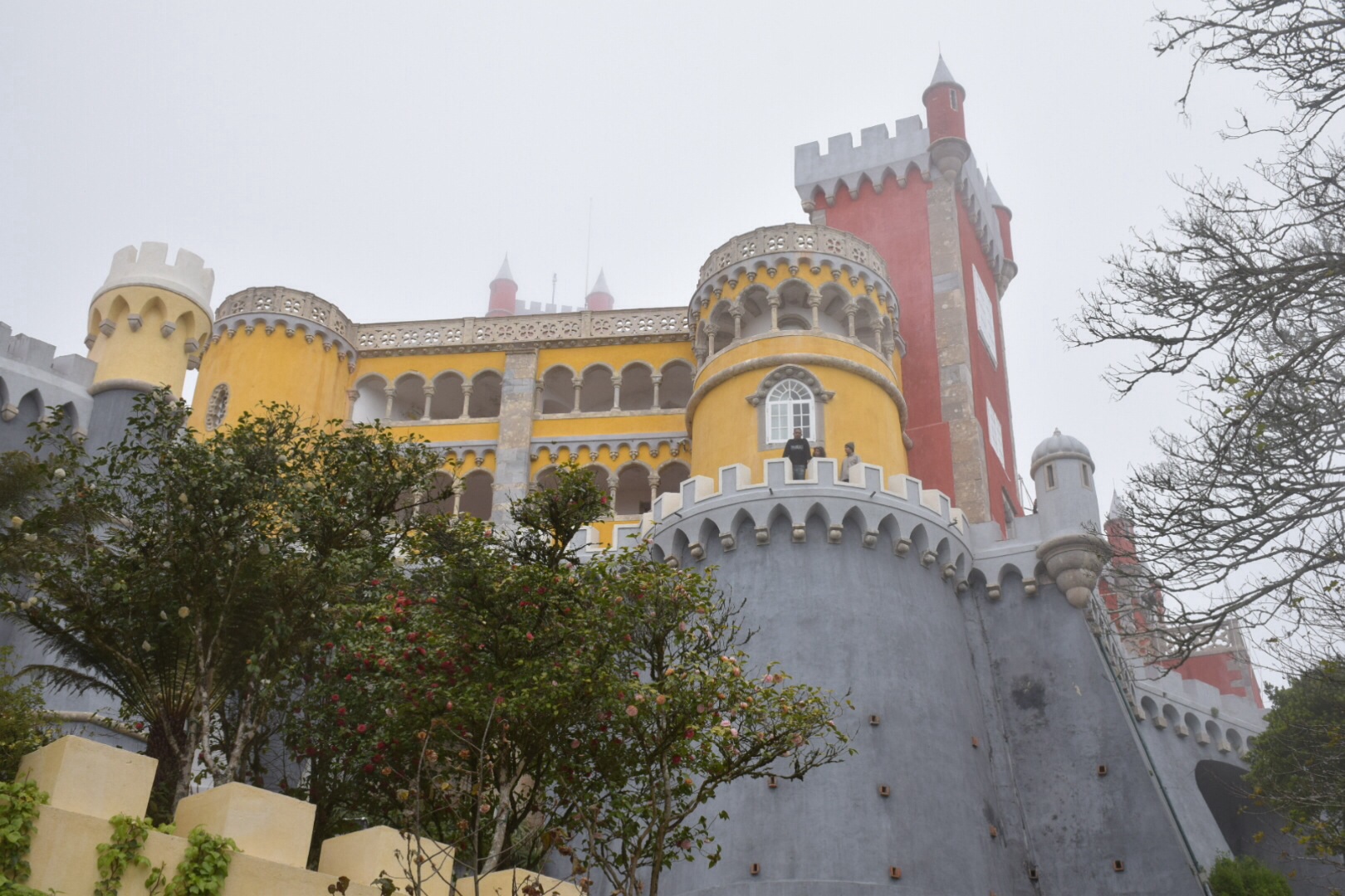 d0088348_1434421.jpg