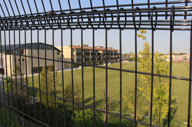 e0295348_9451615.jpg