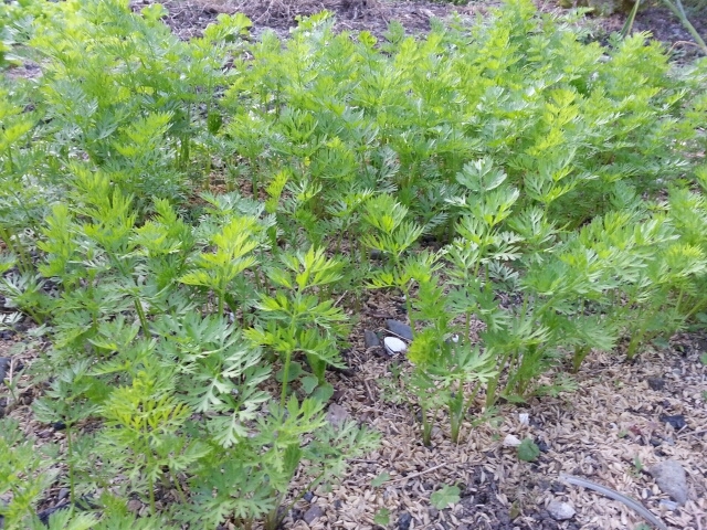 c0330749_22072846.jpg