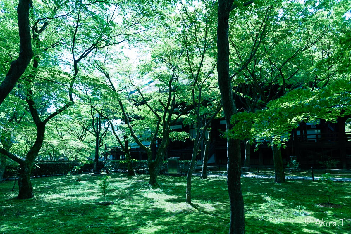 f0152550_18342824.jpg