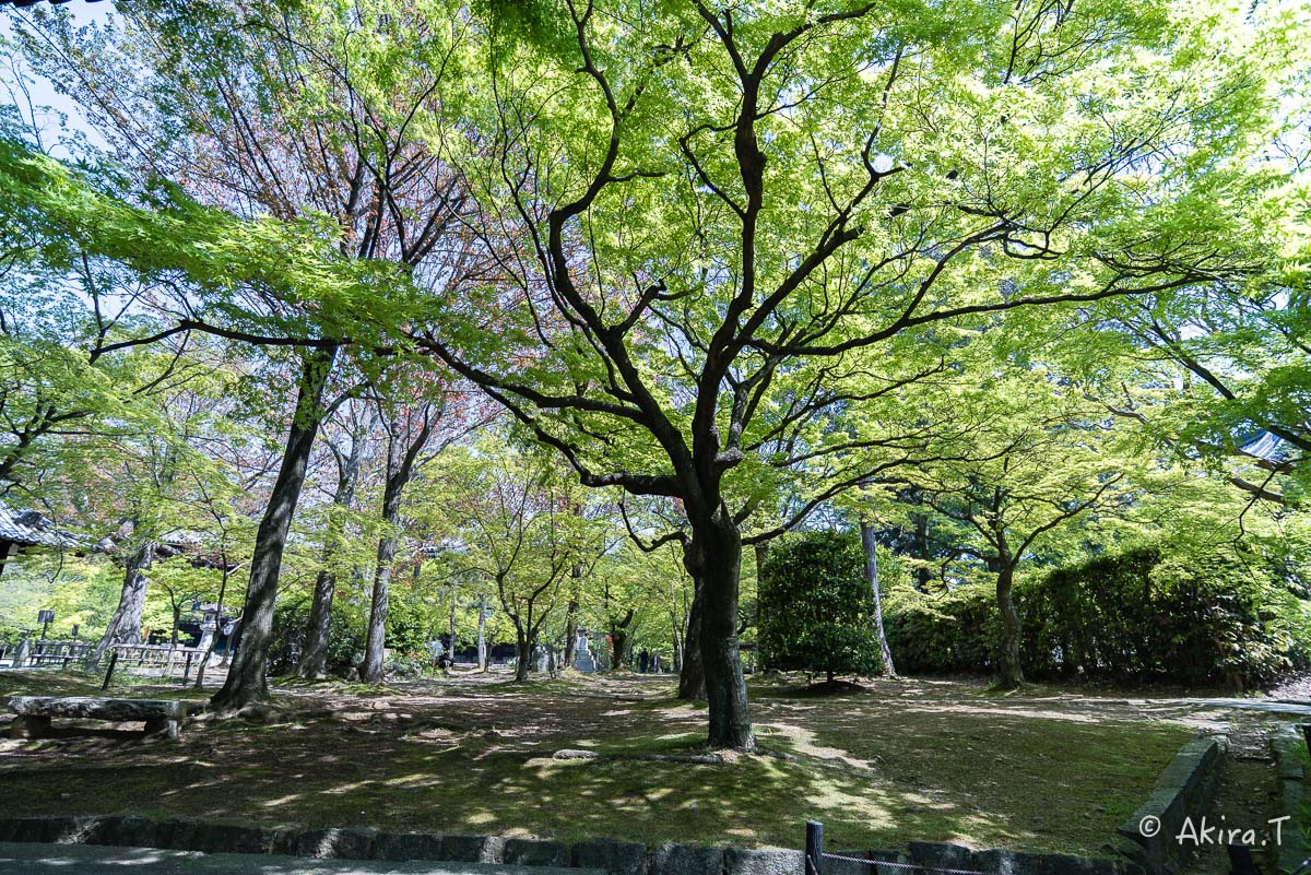 f0152550_1849773.jpg