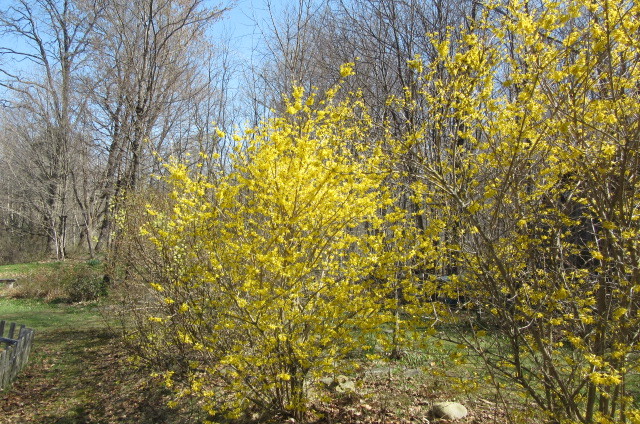 b0247153_22175544.jpg
