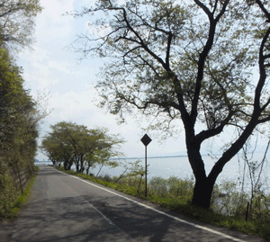 e0264753_8164652.gif