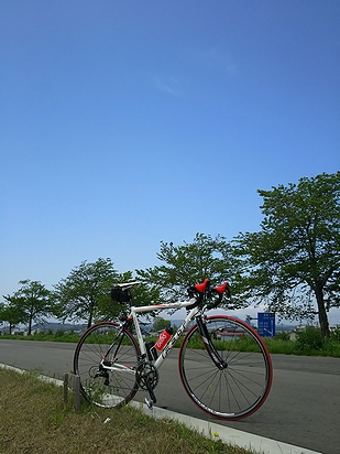 a0096557_21104727.jpg