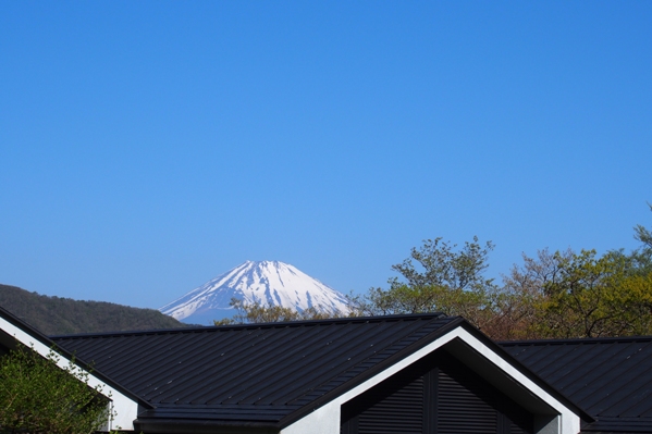 d0111558_19768.jpg