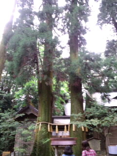 高千穂神社 〜宮崎への帰省旅三日目③〜_f0070062_17313138.jpg