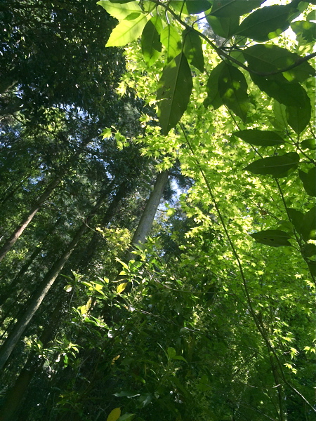 d0226565_16242134.jpg