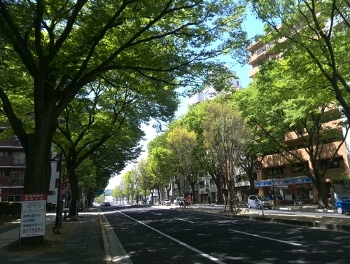 b0124466_1359241.jpg