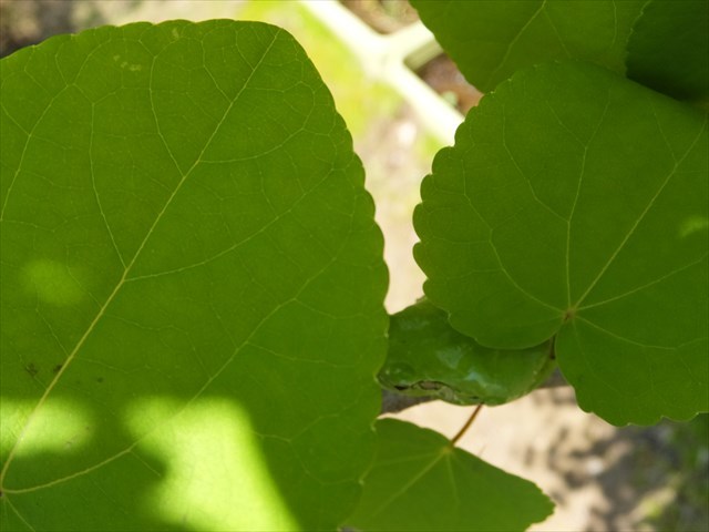 b0253575_13590334.jpg
