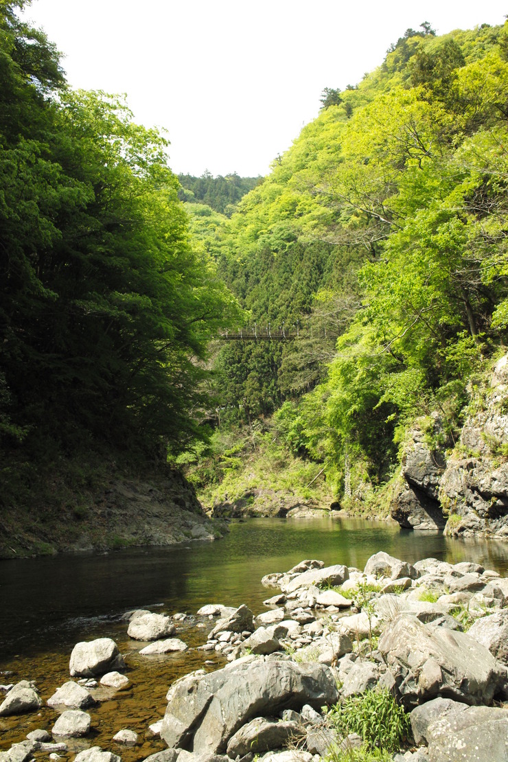 春の奥多摩むかし道　Ⅱ_d0225575_11214263.jpg