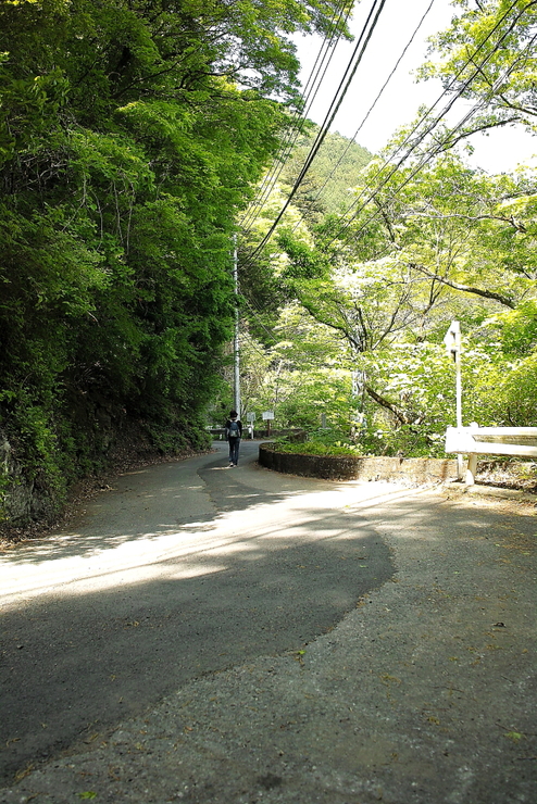 春の奥多摩むかし道　Ⅱ_d0225575_1130519.jpg