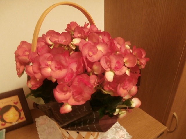 b0335376_20471615.jpg