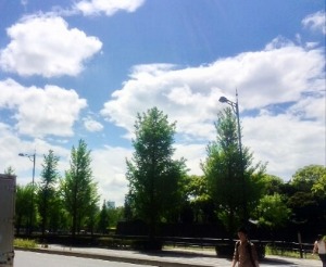 f0159480_2123849.jpg