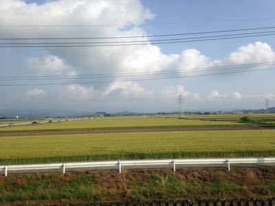 嘉島町総合運動公園（熊本県嘉島町）にてバードウォッチング_a0327982_22381859.jpg