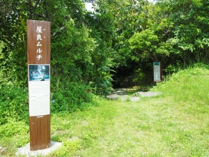 d0240983_92901.jpg