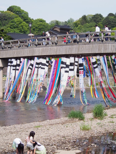 浅の川鯉流し　5/3_f0357183_18070701.jpg