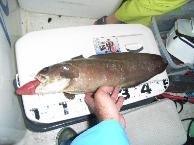 c0020984_17075500.jpg