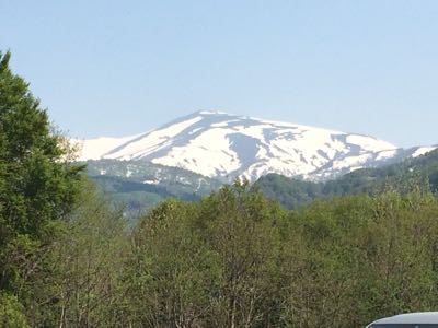 c0198485_9191854.jpg