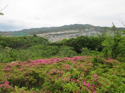 f0053885_19562333.jpg