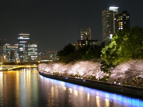 大川 南天満公園の桜 ブルーアワーの街の情景 大川 南天満公園の桜 ブルーアワーの街の情景