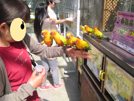 f0234590_1014144.png
