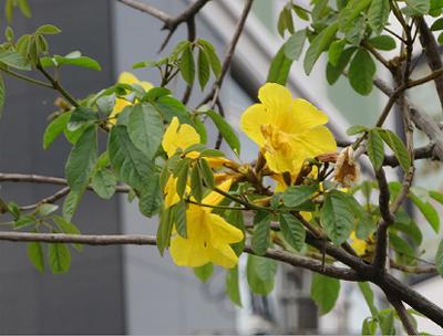 b0051598_23173640.jpg