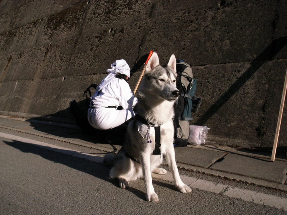 Shikoku Pilgrimage with Hana2, Dec.29th 2005 (1)_c0049299_21505064.jpg