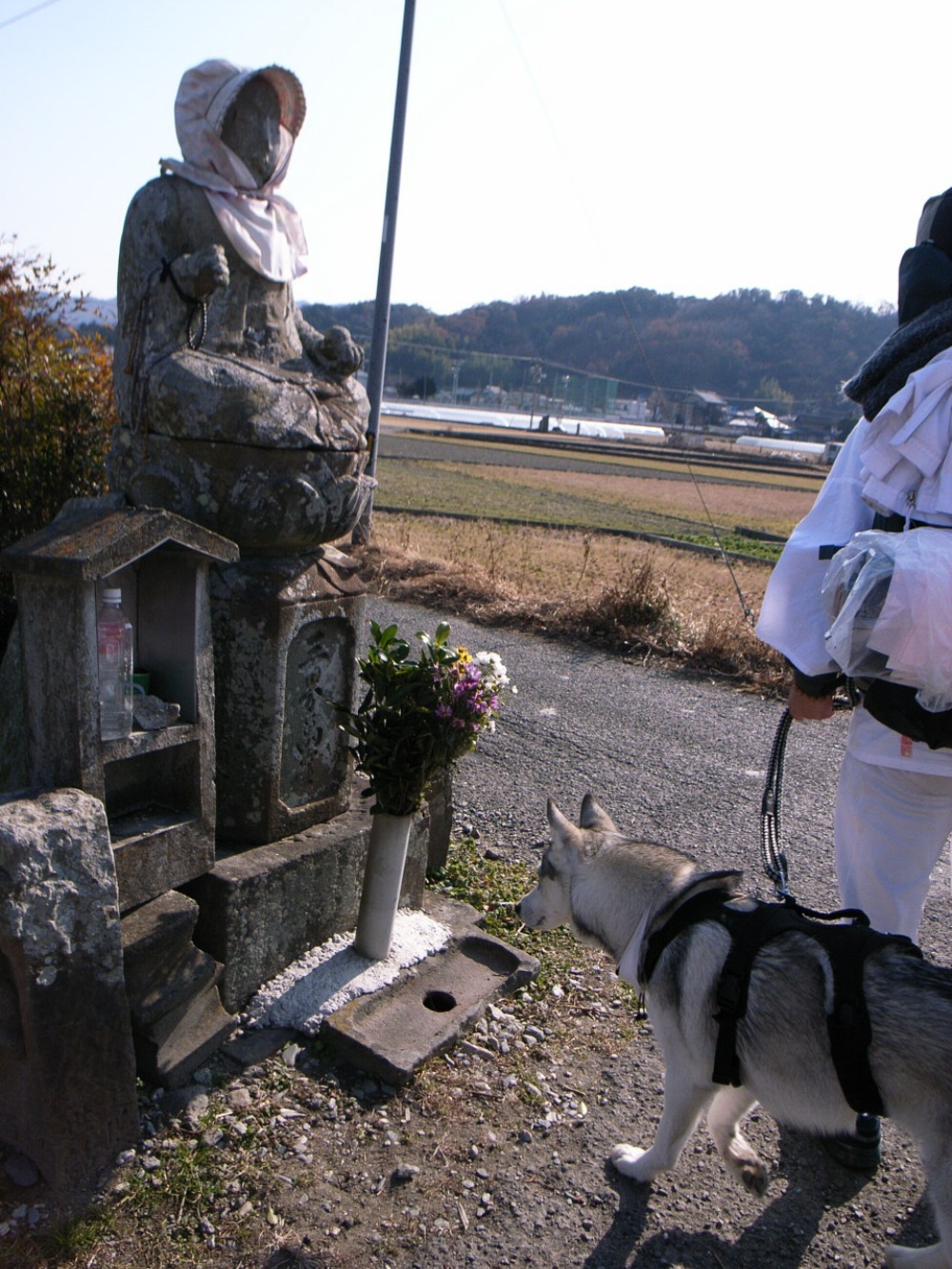 Shikoku Pilgrimage with Hana2, Dec.29th 2005 (1)_c0049299_22195164.jpg