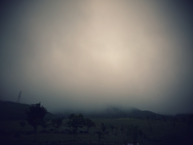 c0164401_01002927.jpg