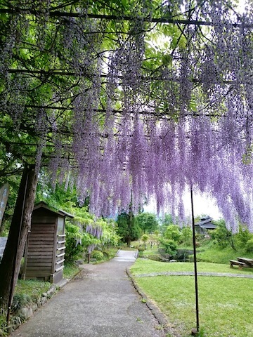 c0164401_01005528.jpg