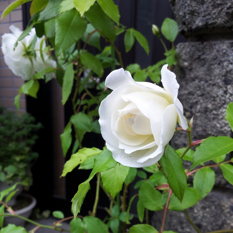 d0259209_08022280.jpg