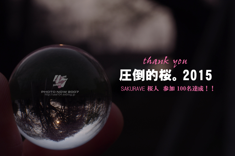 白藤_b0190710_2042339.jpg