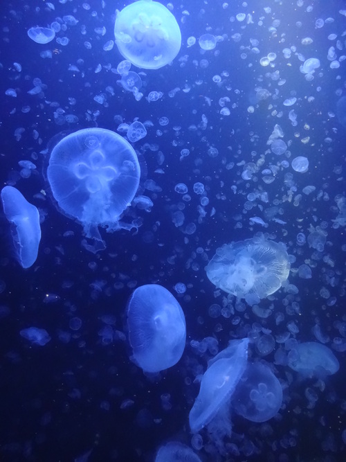 c0279611_10234113.jpg