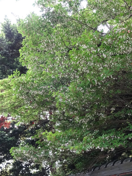 c0279611_117211.jpg
