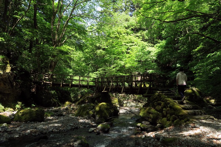 a0268412_22142727.jpg