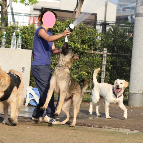 【新横浜編】ＧＷ大阪に帰省しました！_c0338613_23372145.jpg