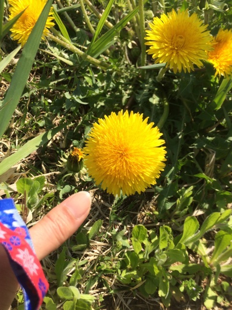 f0274713_12141237.jpeg