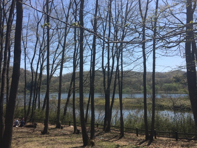 f0274713_12144987.jpeg