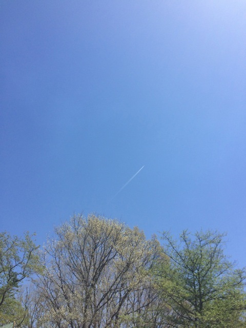 f0274713_12145185.jpeg