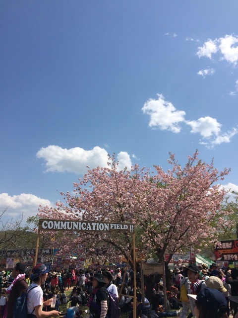 f0274713_19005022.jpeg