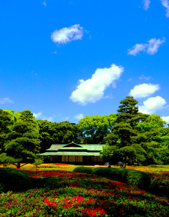 皇居東御苑の初夏　ツツジ　（5月4日）_a0023315_9521280.jpg