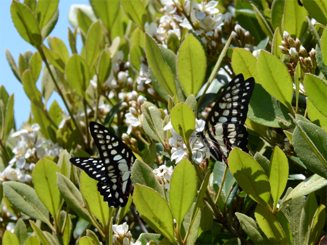 d0332816_22195672.jpg