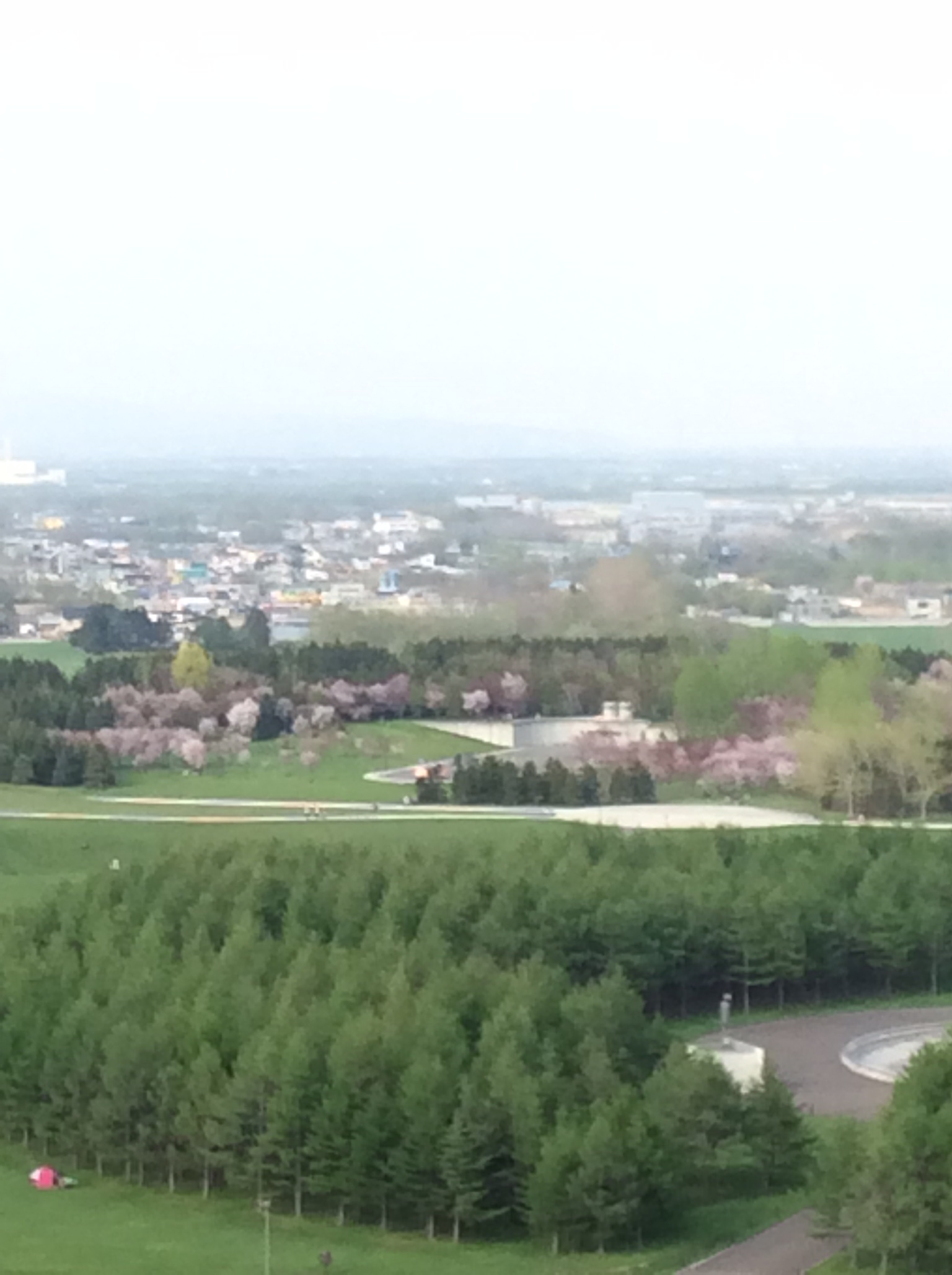 e0052716_9132167.jpg